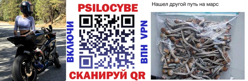 Галлюциногенные грибы Psilocybe  Купить закладки  Камышлов 